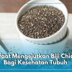 Manfaat dan Cara Mengonsumsi Chia Seed untuk Kesehatan yang Lebih Baik