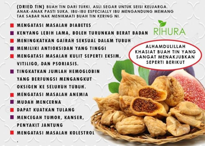 Cara Makan Buah Tin: Panduan Lengkap untuk Menikmati Rasa dan Manfaatnya
