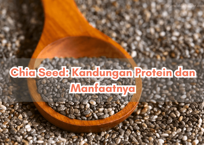 Manfaat dan Cara Mengonsumsi Chia Seed yang Efektif untuk Kesehatan