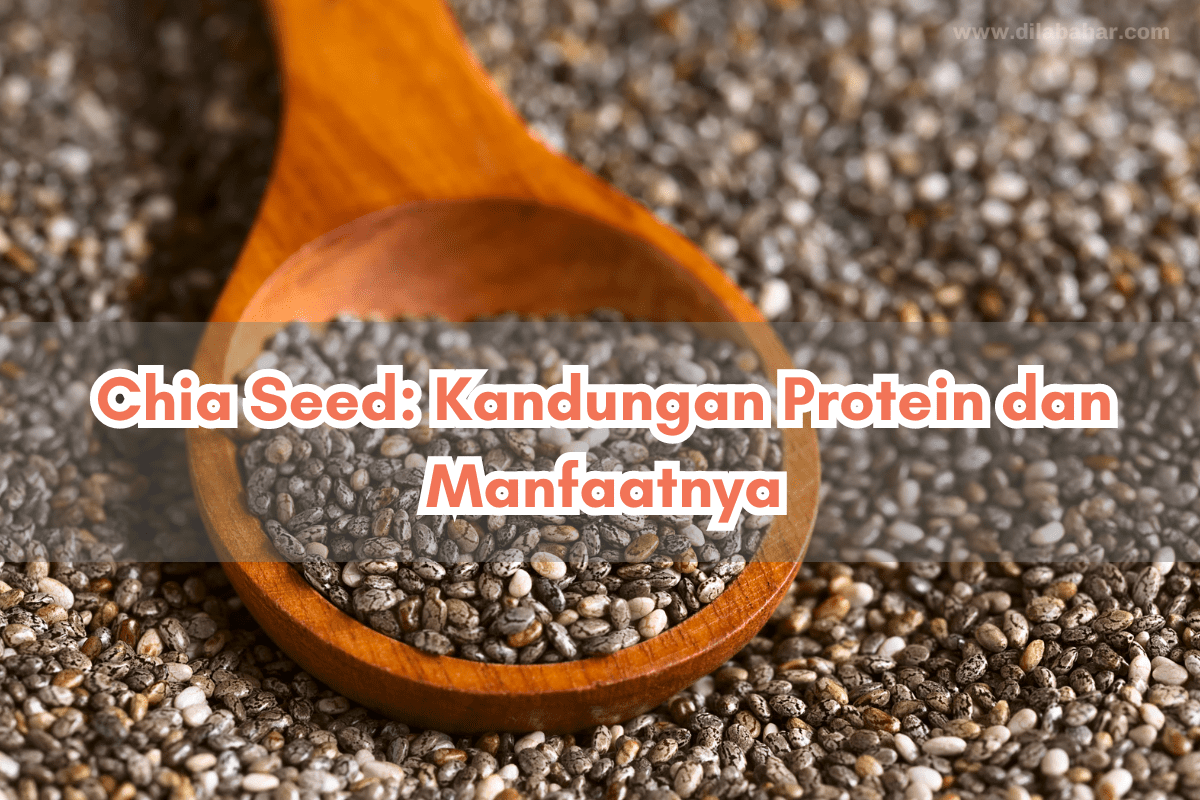 Manfaat dan Cara Mengonsumsi Chia Seed yang Efektif untuk Kesehatan