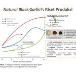 Black Garlic, Solusi untuk Masalah Hipertensi di Desa Puger Kulon