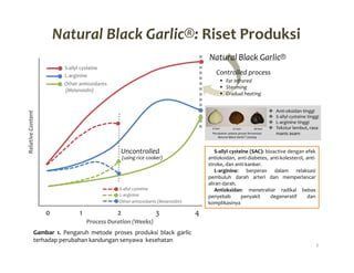 Black Garlic, Solusi untuk Masalah Hipertensi di Desa Puger Kulon